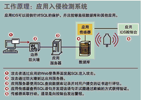 用IDS(入侵检测系统)保卫数据库安全