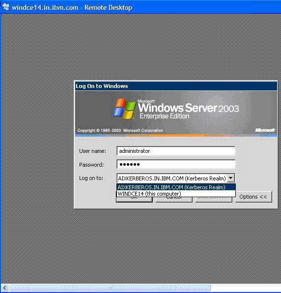 Windows Terminal Service 用户针对 IBM NAS KDC 的 Kerberized 身份验证