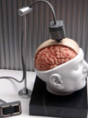 �����״ε��Ժ��͹����������������������