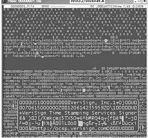 ����ս��������̱���ʺ˵�վ