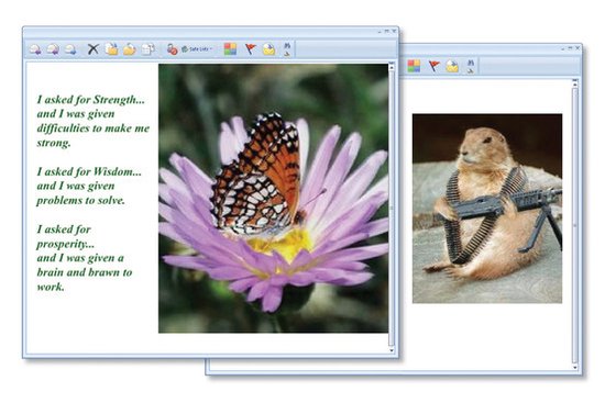 ��ȫ�о������ƽ������繥�������ӡ��