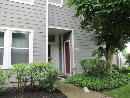 从高中辍学生到黑客间谍:斯诺登