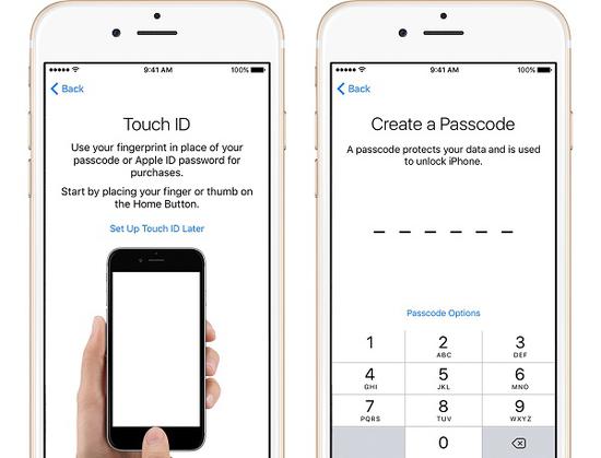 恶意软件需要借助某个 JavaScript 漏洞来收集数据。